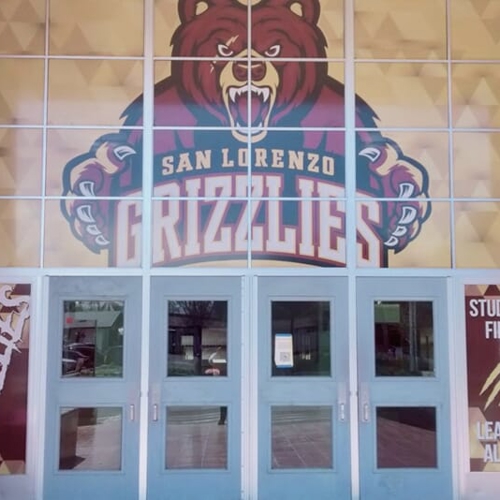 Window Graphics